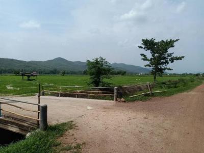 ที่ดิน 4000000 ลำพูน แม่ทา ทาสบเส้า