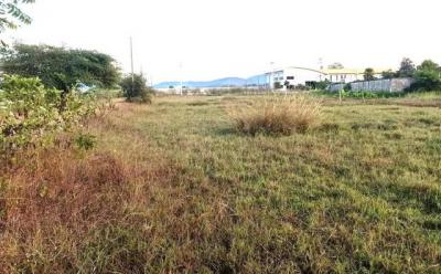 ที่ดิน 700000 ลำพูน เมืองลำพูน มะเขือแจ้
