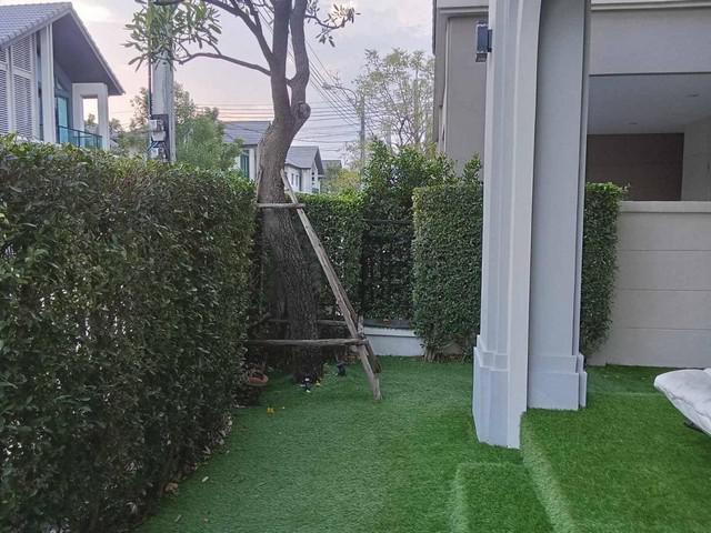 บ้านเดี่ยว 100000 สมุทรปราการ บางพลี บางแก้ว บ้านเดี่ยว 100000 สมุทรปราการ บางพลี บางแก้ว