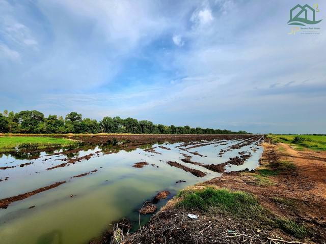 ที่ดิน 308522625 ปทุมธานี ธัญบุรี บึงน้ำรักษ์ ที่ดิน 308522625 ปทุมธานี ธัญบุรี บึงน้ำรักษ์
