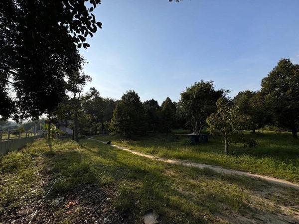 ที่ดิน 2500000 ระยอง เมืองระยอง เพ ที่ดิน 2500000 ระยอง เมืองระยอง เพ