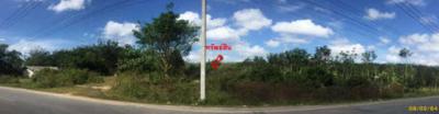 ที่ดิน 8824000 สงขลา หาดใหญ่ ควนลัง