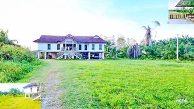บ้านเดี่ยว 14999 สุราษฎร์ธานี เมืองสุราษฎร์ธานี บางโพธิ์