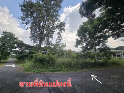 ที่ดิน 4638400 นครราชสีมา ปากช่อง พญาเย็น