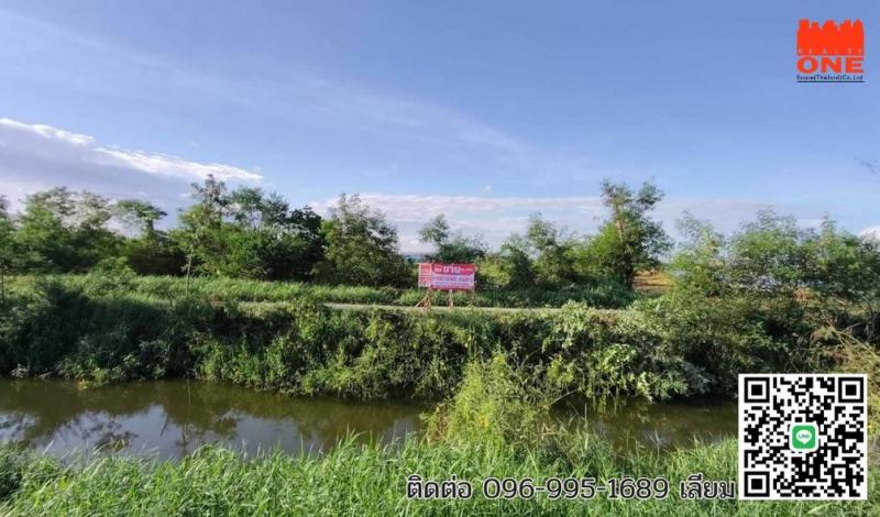 ที่ดิน 24000000 ฉะเชิงเทรา บางปะกง บางปะกง ที่ดิน 24000000 ฉะเชิงเทรา บางปะกง บางปะกง