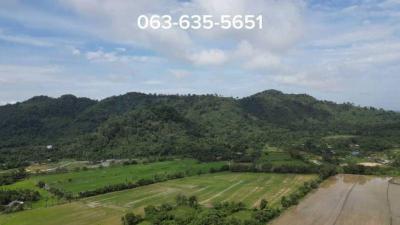 ที่ดิน 8500000 นครนายก เมืองนครนายก เขาพระ
