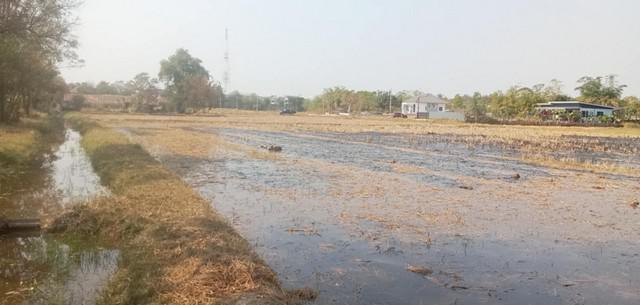 ที่ดิน 1700000 ขอนแก่น เมืองขอนแก่น พระลับ ที่ดิน 1700000 ขอนแก่น เมืองขอนแก่น พระลับ