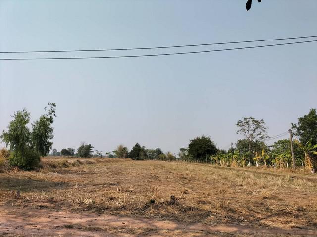 ที่ดิน 3200000 ร้อยเอ็ด จตุรพักตรพิมาน เมืองหงส์ ที่ดิน 3200000 ร้อยเอ็ด จตุรพักตรพิมาน เมืองหงส์