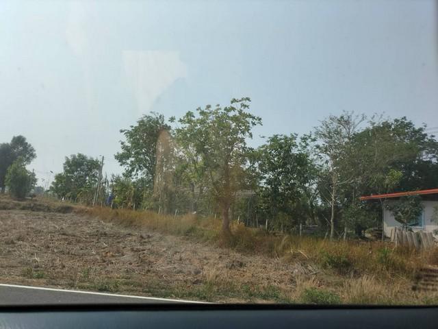 ที่ดิน 3200000 ร้อยเอ็ด จตุรพักตรพิมาน เมืองหงส์ ที่ดิน 3200000 ร้อยเอ็ด จตุรพักตรพิมาน เมืองหงส์