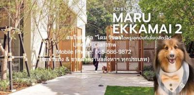 คอนโด 60000 กรุงเทพมหานคร เขตวัฒนา พระโขนงเหนือ