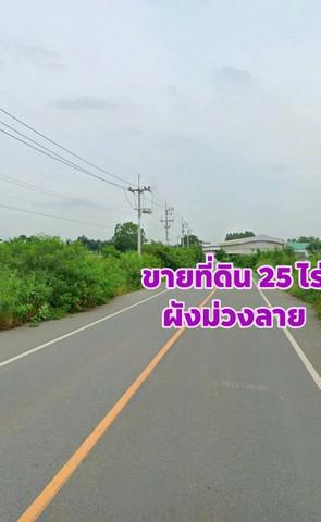 ที่ดิน 2390000 ฉะเชิงเทรา แปลงยาว แปลงยาว