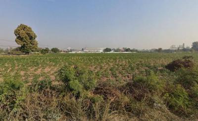 ที่ดิน 7000000 ขอนแก่น เมืองขอนแก่น ท่าพระ
