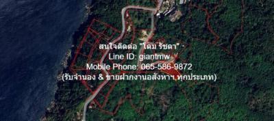 ที่ดิน 34000000 ภูเก็ต กะทู้ กมลา