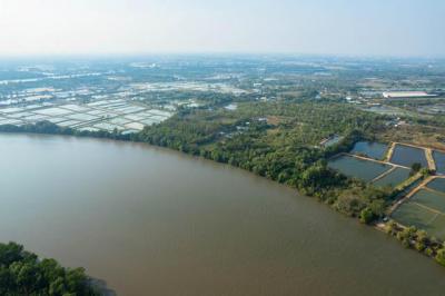 ที่ดิน 7300000 ฉะเชิงเทรา บ้านโพธิ์ สนามจันทร์