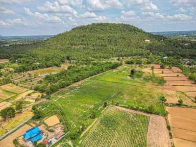 ที่ดิน 1350000 กาฬสินธุ์ สหัสขันธ์ โนนบุรี