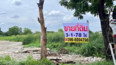 ที่ดิน 13780000 ปทุมธานี สามโคก เชียงรากใหญ่