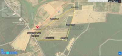 ที่ดิน 140000000 ชลบุรี หนองใหญ่ หนองเสือช้าง