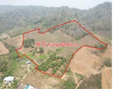 ที่ดิน 61000000 เชียงราย แม่จัน ป่าตึง ที่ดิน 61000000 เชียงราย แม่จัน ป่าตึง