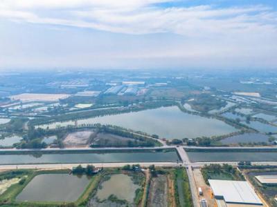 ที่ดิน 265500000 ชลบุรี พานทอง บางนาง