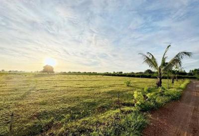 ที่ดิน 890000 ชลบุรี พนัสนิคม สระสี่เหลี่ยม