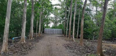 ที่ดิน 35000000 จันทบุรี สอยดาว ทรายขาว