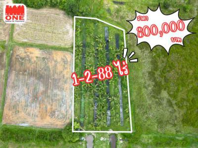 ที่ดิน 800000 นครศรีธรรมราช ท่าศาลา ท่าขึ้น