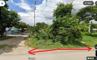 ที่ดิน 3900000 เชียงใหม่ สารภี ท่าวังตาล
