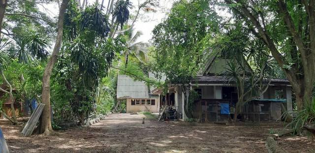 ที่ดิน 35000000 จันทบุรี สอยดาว ทรายขาว ที่ดิน 35000000 จันทบุรี สอยดาว ทรายขาว