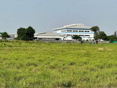 ที่ดิน 37551250 ชลบุรี ศรีราชา หนองขาม