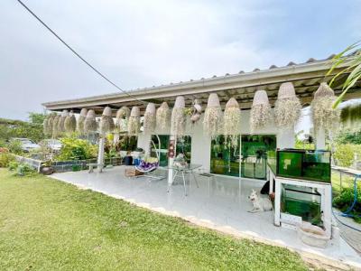 บ้านเดี่ยว 5500000 ชลบุรี กิ่งอำเภอเกาะจันทร์ เกาะจันทร์