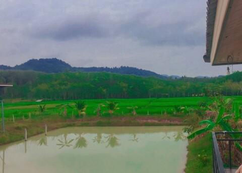 ที่ดิน 10000000 กระบี่ เกาะลันตา เกาะกลาง ที่ดิน 10000000 กระบี่ เกาะลันตา เกาะกลาง