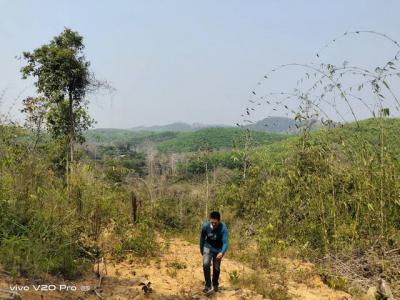 ที่ดิน 36500000 น่าน สันติสุข พงษ์