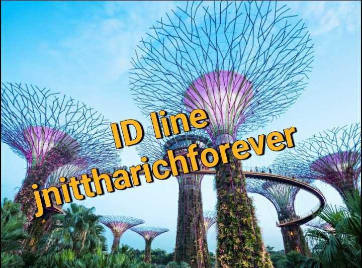 โรงแรม 100000 กรุงเทพมหานคร เขตบางแค หลักสอง โรงแรม 100000 กรุงเทพมหานคร เขตบางแค หลักสอง