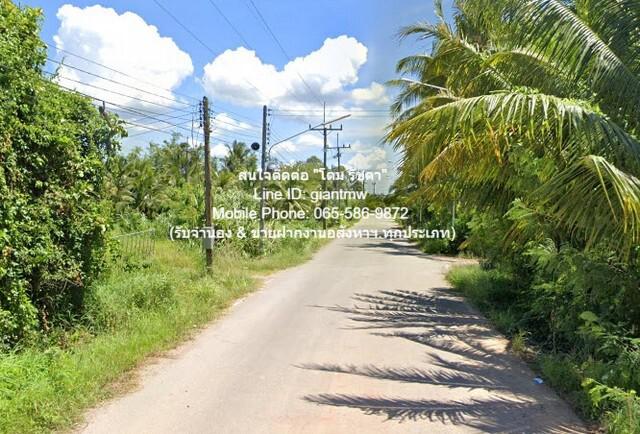 ที่ดิน 5000000 พัทลุง เมืองพัทลุง ชัยบุรี ที่ดิน 5000000 พัทลุง เมืองพัทลุง ชัยบุรี