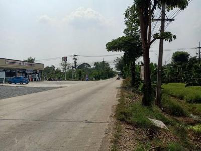 ที่ดิน 1150000 นครปฐม พุทธมณฑล คลองโยง