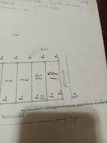 ที่ดิน 1150000 นครปฐม พุทธมณฑล คลองโยง ที่ดิน 1150000 นครปฐม พุทธมณฑล คลองโยง