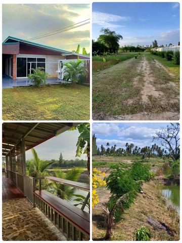 บ้านเดี่ยว 3750000 ประจวบคีรีขันธ์ เมืองประจวบคีรีขันธ์ เกาะหลัก บ้านเดี่ยว 3750000 ประจวบคีรีขันธ์ เมืองประจวบคีรีขันธ์ เกาะหลัก