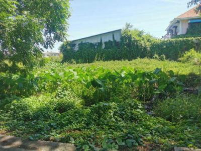 ที่ดิน 4500000 กรุงเทพมหานคร เขตหนองแขม หนองค้างพลู