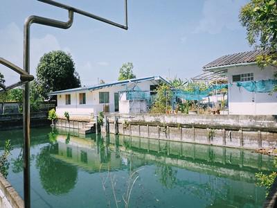 บ้านเดี่ยว 4900000 ปทุมธานี ลำลูกกา บึงทองหลาง