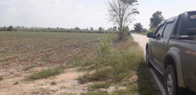 ที่ดิน 1200000 พิษณุโลก บางระกำ หนองกุลา