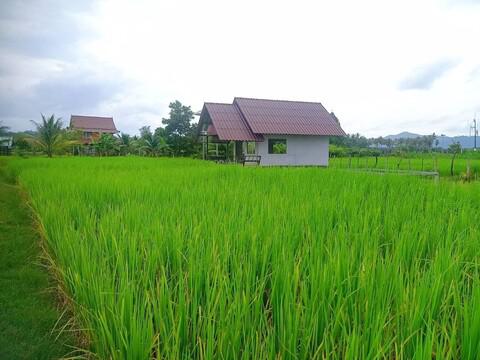 ที่ดิน 10000000 กระบี่ เกาะลันตา เกาะกลาง ที่ดิน 10000000 กระบี่ เกาะลันตา เกาะกลาง