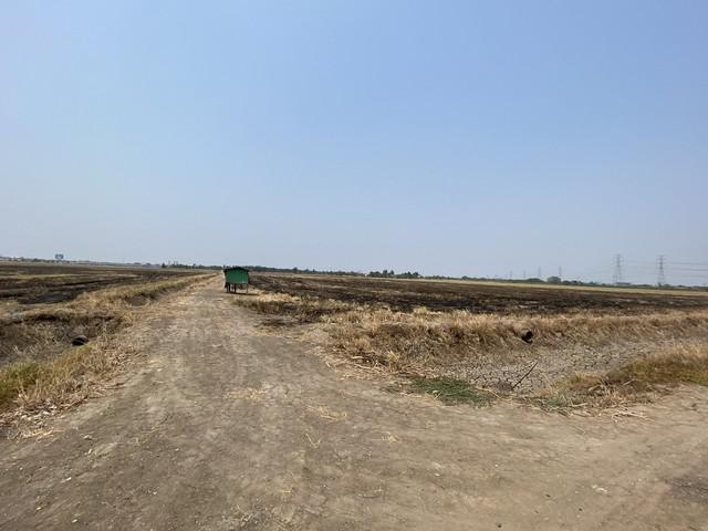ที่ดิน 429000000 ฉะเชิงเทรา บางปะกง บางวัว ที่ดิน 429000000 ฉะเชิงเทรา บางปะกง บางวัว