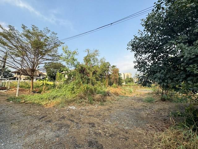 ที่ดิน 25120000 นนทบุรี ปากเกร็ด บางตลาด ที่ดิน 25120000 นนทบุรี ปากเกร็ด บางตลาด