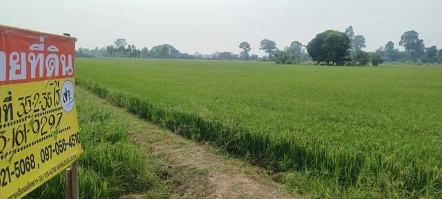 ที่ดิน 36000000 พิษณุโลก เมืองพิษณุโลก บ้านกร่าง ที่ดิน 36000000 พิษณุโลก เมืองพิษณุโลก บ้านกร่าง