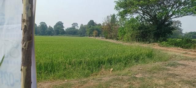 ที่ดิน 36000000 พิษณุโลก เมืองพิษณุโลก บ้านกร่าง ที่ดิน 36000000 พิษณุโลก เมืองพิษณุโลก บ้านกร่าง