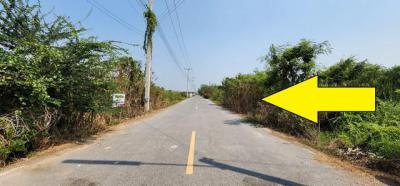 ที่ดิน 890000 ปทุมธานี หนองเสือ บึงกาสาม