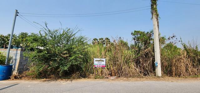 ที่ดิน 890000 ปทุมธานี หนองเสือ บึงกาสาม ที่ดิน 890000 ปทุมธานี หนองเสือ บึงกาสาม
