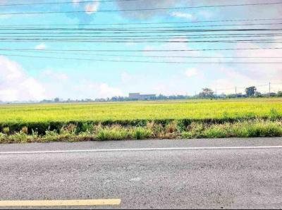 ที่ดิน 4000000 ฉะเชิงเทรา บางปะกง เขาดิน