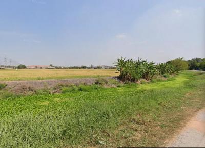 ที่ดิน 374000000 กรุงเทพมหานคร เขตหนองจอก ลำผักชี