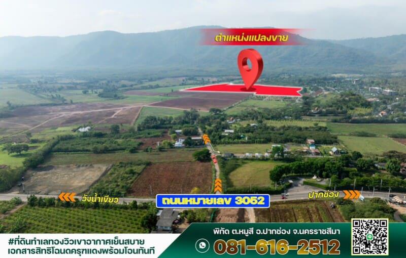 ที่ดิน 8000000 นครราชสีมา ปากช่อง หมูสี ที่ดิน 8000000 นครราชสีมา ปากช่อง หมูสี